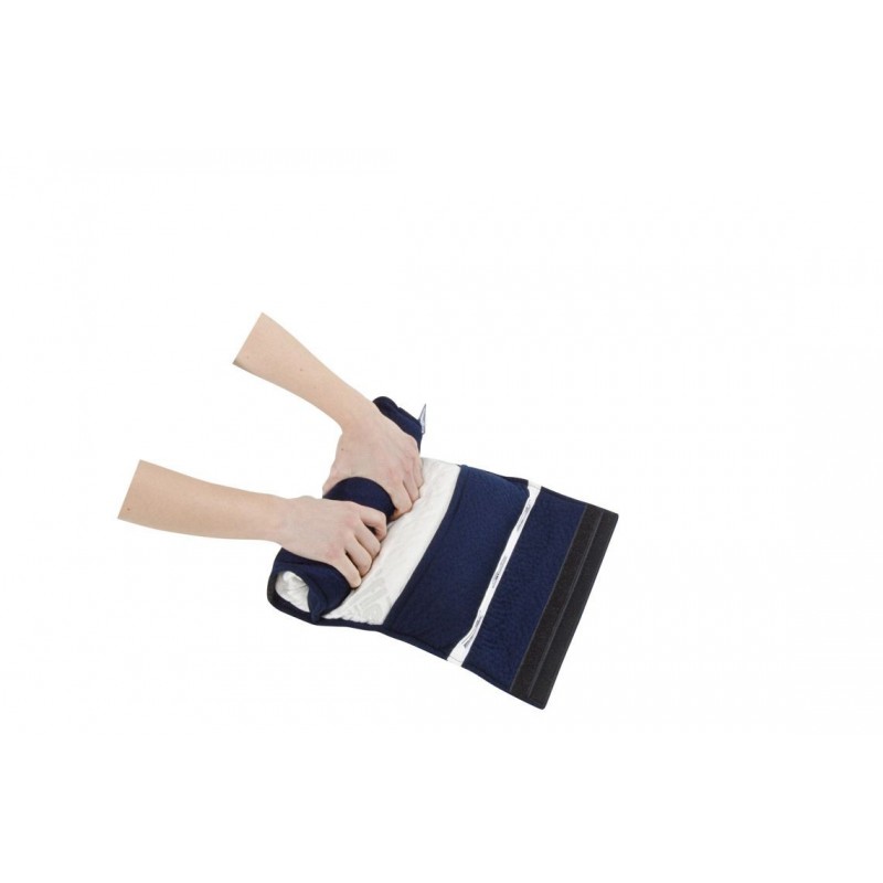 Sushi Pillow